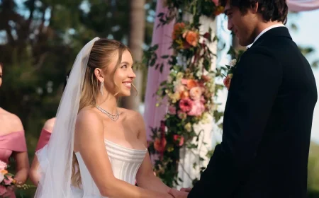 Nate and Cassie Face Naz After a $500,000 Wedding Night — Euphoria Episode 4