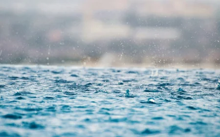 Environment Canada issues special weather statement for Halifax rain — Weather Halifax