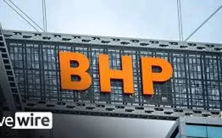 Bhp Rises 6.6% to $53.72 as Mining Shares Outrun ASX 200