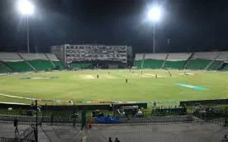 Shehbaz Sharif Orders Arrangements for Lahore Psl Live Final