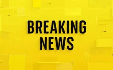 Three dead in suspected outbreak aboard Mv Hondius