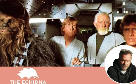 Star Wars Day turns on cinema viewing, says Star Wars Day essay