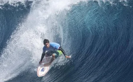 Shark Halts Wsl Gold Coast Pro Shark Action at Snapper Rocks