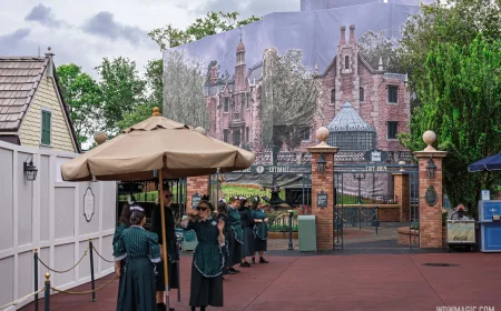 Sarah Riles Addresses May 3 Haunted Mansion Disney World Closed