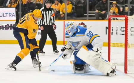 Jordan Binnington Links Stir Florida Panthers Goalie Debate