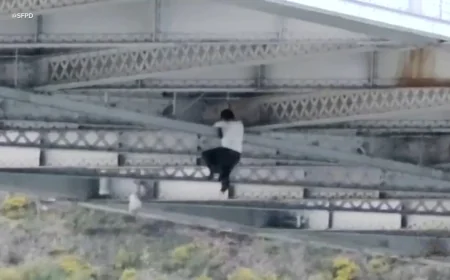 San Francisco Police Release Bay Bridge Video After Evening Shutdown