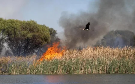 DFES Contains Herdsman Lake Fire Perth by 11.55am