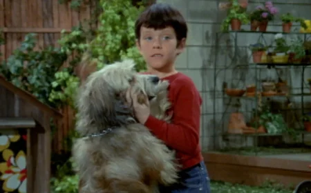Sherwood Schwartz Reveals The Brady Bunch Tiger Was Replaced