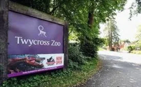 Stacey Dean submits plans for 42 children next to Twycross Zoo