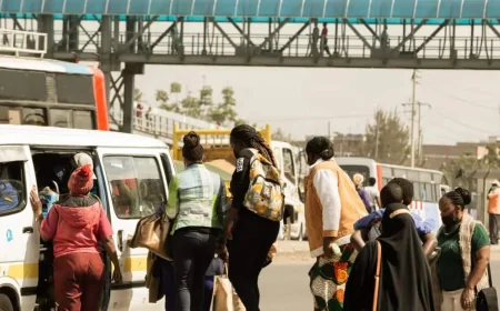 BasiGo Says Costa Rica Models Cost-Saving Bus Shift in Africa