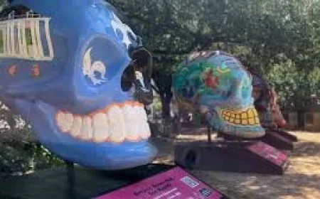 Andrea K. Moreno Highlights Cinco De Mayo 2026 Deals in San Antonio