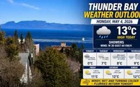 Thunder Bay Weather: Gusts Reach 60 km/h Before Flurries Tonight