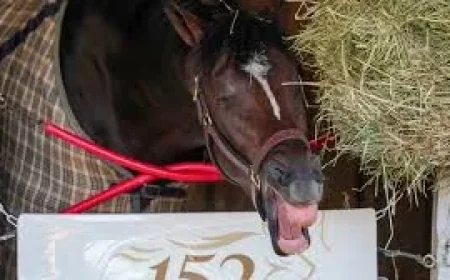 Golden Tempo Wins Kentucky Derby, Gives Cherie DeVaux Horse Racing First