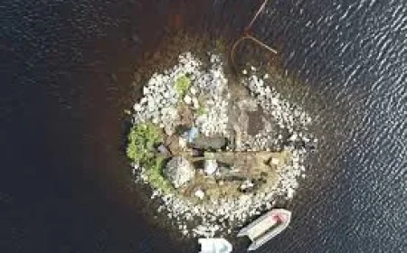 Archaeologists uncover 5,000-year timber platform in Loch Bhorgastail Stone Island Excavation