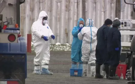 Maine-et-Loire ouvre une avance de trésorerie pour Grippe Aviaire