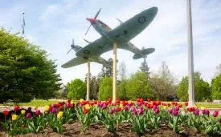 No Windsor Weather Details Appear in May 4 Forecast