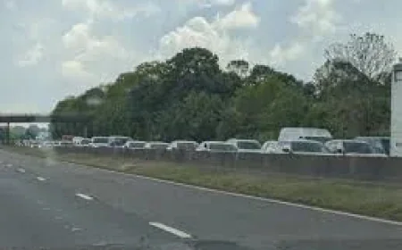 RAC Warns of 19 Million M5 Traffic Leisure Trips by Monday