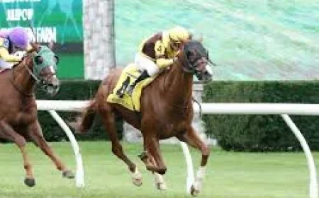 59-Degree Weather Derby Could Chill Churchill Downs