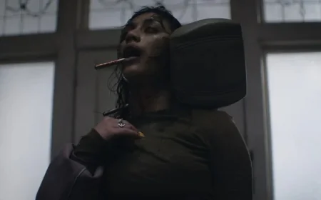 Sébastien Vaniček Releases First Evil Dead Burn Trailer