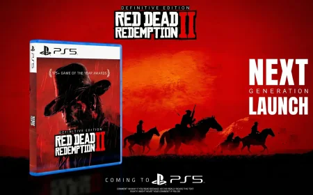 Synth Potato Flags Red Dead Redemption 2 4K 60 FPS Gap in May 2026