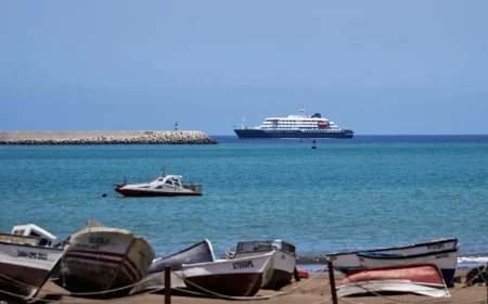 OMS confirme un hantavirus sur le MV Hondius, épidémie à Johannesburg