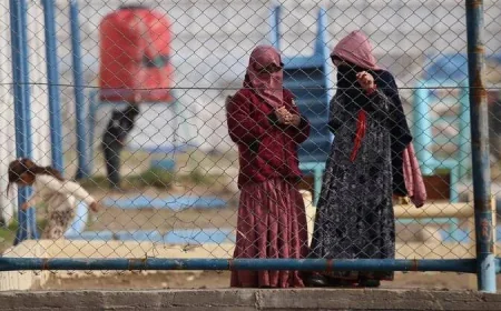 Tony Burke on 13 returnees from Syria — Australian News