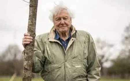 David Attenborough Marks 100 Years in BBC Celebration — When Is David Attenborough's Birthday