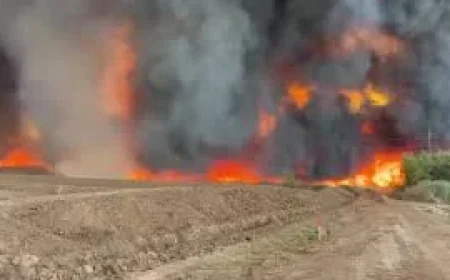 Hazen fire grows to 400 hectares, remains 0% contained — Fires Near Me