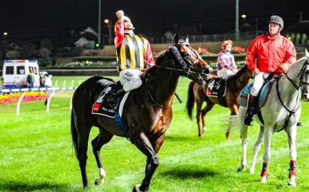 Spirit Of Boom Dies At 18 After Nine-Win Career
