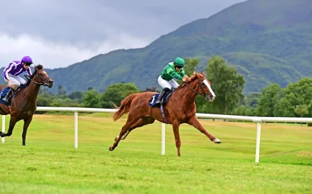 Benvenuto Cellini Faces Six Rivals in Chester Vase — Chester Races