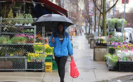 Toronto faces 40 per cent rain chance Tuesday — Cp24 News
