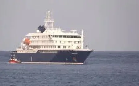 Three Evacuated After Rat Virus Concern on Cruise Ship
