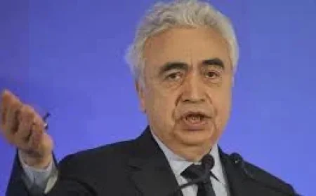 Fatih Birol to Press Canada on Energy Infrastructure in Ottawa — Fatih Birol Energy Crisis Analysis