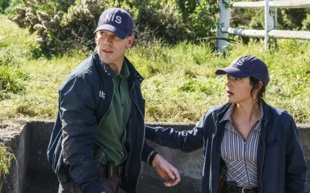 Gibbs and Lala Kiss in Ncis Gibbs Season 2 Finale