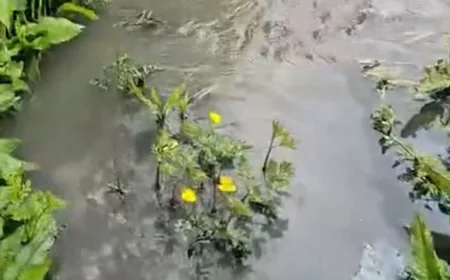 Feargal Sharkey backs Carmarthen spill after burst rising main, 0300 065 3000