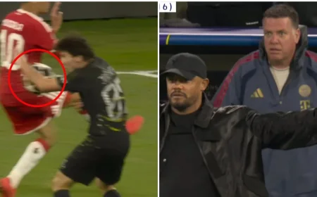 Psg Vs Bayern Munich: VAR Spares Joao Neves From Handball Penalty