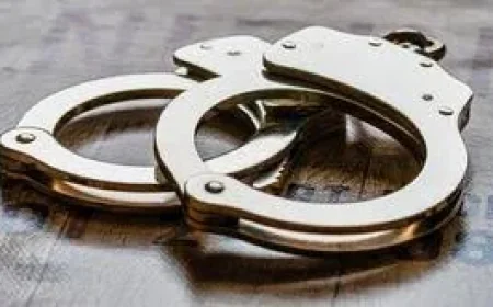 Benita D. Randle Pleads Guilty in St Louis Usps Employee Fraud Case
