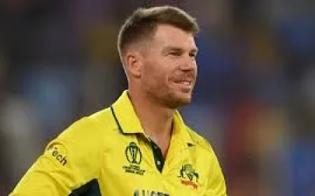 Warner Charged in 0.104 Drink Driving Case — David Warner Drink Driving Charge