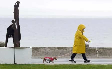 Apotex Wins Health Canada Approval for Ozempic Equivalent — Weather Hamilton