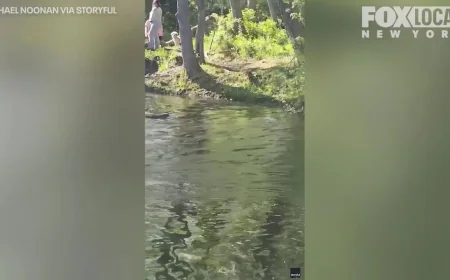 Rabid Beaver Attacks People at Lake Henry in Mahwah