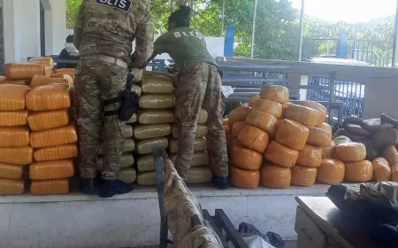 US Coast Guard Seizes 3,200 Pounds of Marijuana off Haiti