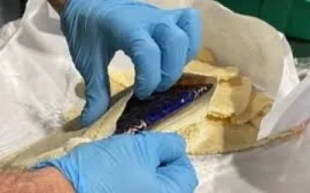 CBSA and RCMP charge three after Halifax cocaine seizure