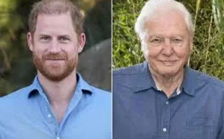 Sir David Attenborough Overwhelmed by 100th Birthday Messages