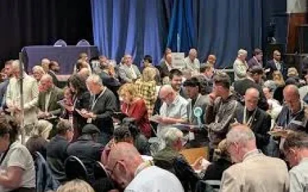 Conservatives Could Lose 20 Seats in Hampshire County Council Election Results