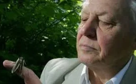 BBC One Marks Queen Elizabeth with David Attenborough at Royal Albert Hall