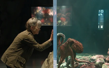Sally Field Anchors Remarkably Bright Creatures on Netflix