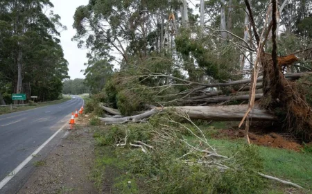 Bureau of Meteorology Issues Thunderstorm Warning for 20 Tasmania Towns