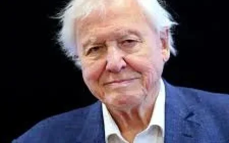 Attenborough Replies to Edward Over Dinosaur Error in 1980s Cork — David Attenborough Children