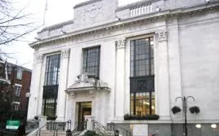 Islington Council Greens secure Highbury and at least 15 seats
