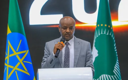 Seife Deribe Urges Addis Ababa Summit Creators to Promote African Narratives